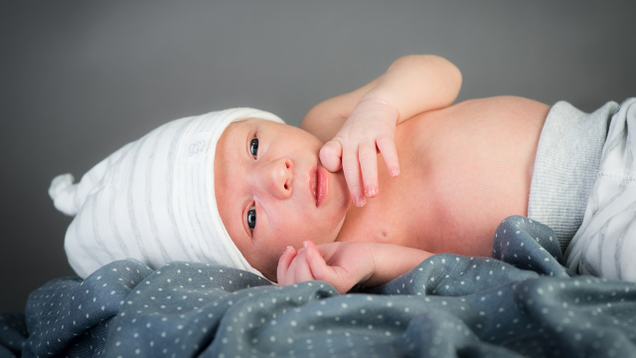 Illustration for article titled EXCLUSIVE: First Look At The New Baby